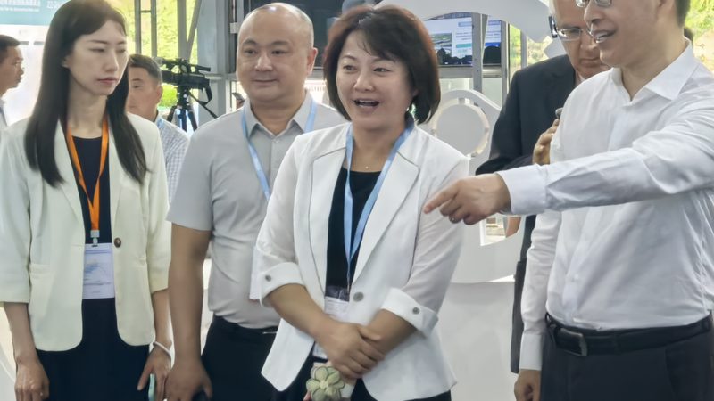 皮卡后斗货架爬梯哪家好